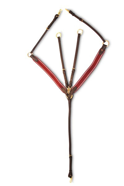 Collier de chasse 3pts- HFI