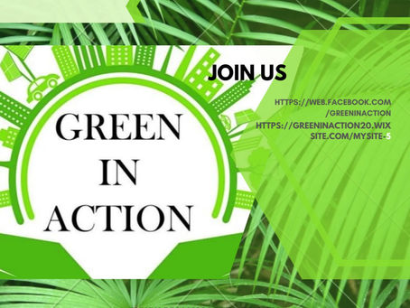 Green In Action Agri-Digital Non- Profit Marketing Plan
