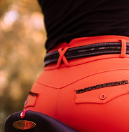 Pantalon d'équitation