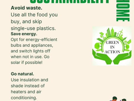 Green In Action Sustainability At Home