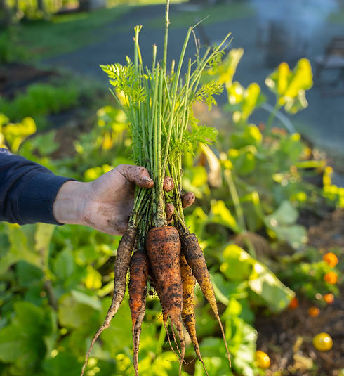 Taste Of Ns Awards Photos 2024-01831 (1) (2).jpg