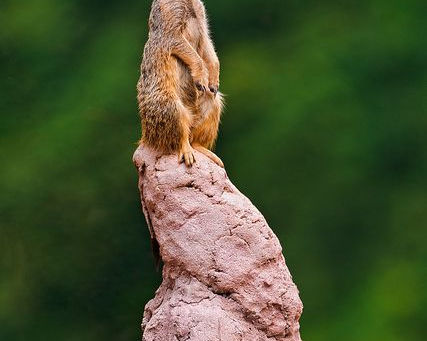 ローマ人への手紙5章5節をいただいて