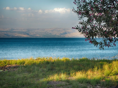 ルカによる福音書8章23節