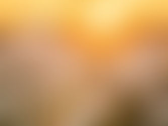 ローマ人への手紙13章14節