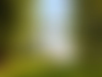 ローマ人への手紙5章3-5節