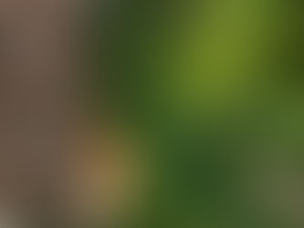 使徒行伝2章21節