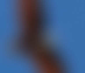 マタイによる福音書6章22節