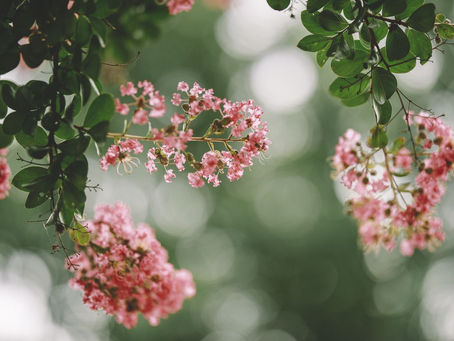 フィリピ信徒への手紙4章1節をいただいて