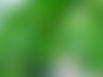 使徒行伝9章39-40節