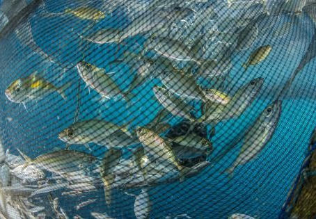 ヨハネによる福音書21章9節