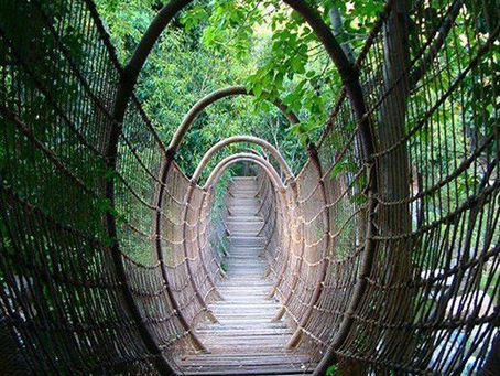 ローマ人への手紙14章16-19節