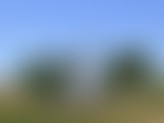 ヨハネによる福音書4章23-24節