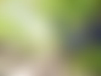 ヨハネによる福音書15章2節