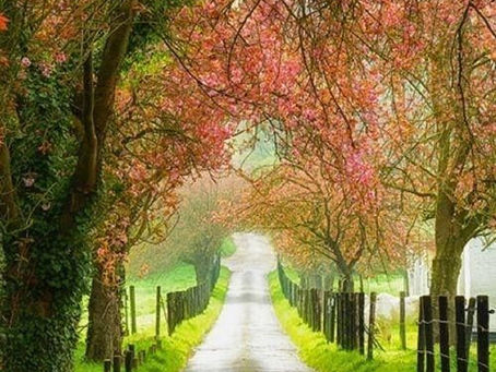 テモテへの第二の手紙3章5節