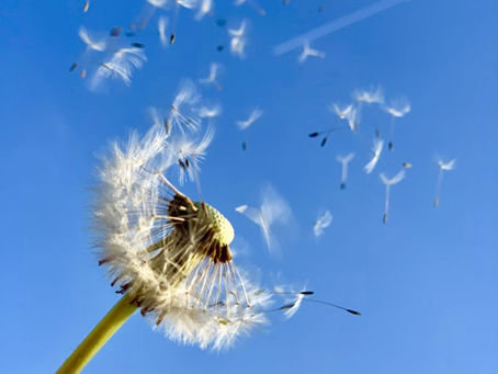 使徒行伝1章8節