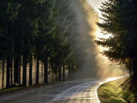 創世記49章9節をいただいて