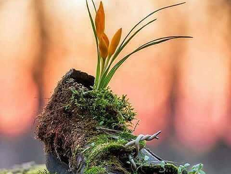 ヨハネの第一の手紙4章16-18節をいただいて