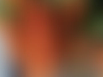 マタイによる福音書11章28-30節をいただいて