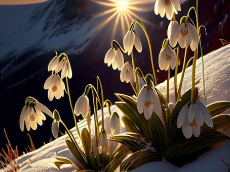 ヨハネによる福音書16章33節