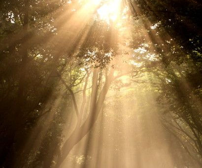 ルカによる福音書21章33節をいただいて