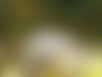 コロサイ人への手紙1章5節