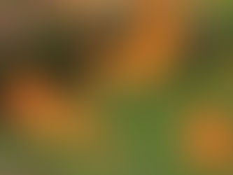 イザヤ書30章19節