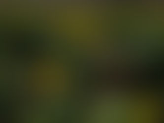 エペソ人への手紙2章2節