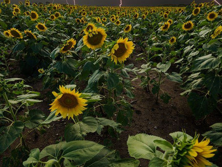 エペソ人への手紙2章2節