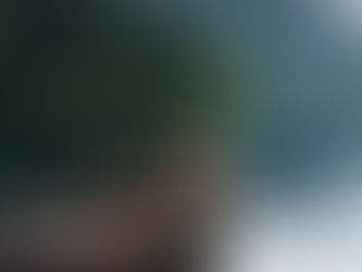 ヨハネによる福音書21章18-19節