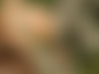 ローマ人への手紙8章25節をいただいて