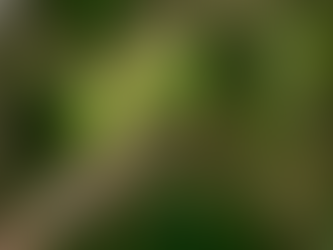 ハバクク書3章18-19節をいただいて