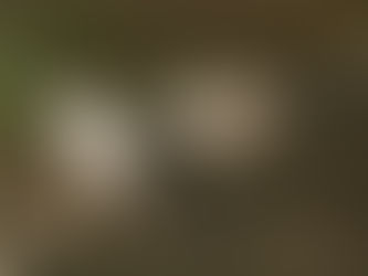 ヤコブの手紙2章1-4節