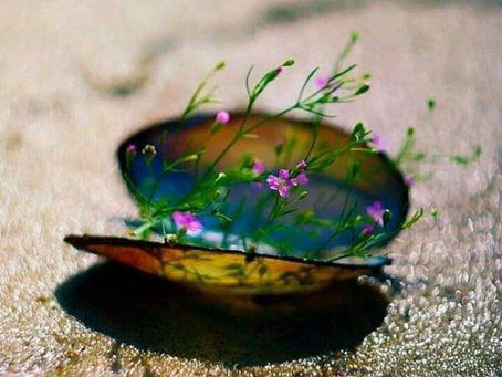 出エジプト記33章15節