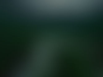 ローマ人への手紙4章18節