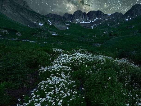 ローマ人への手紙4章18節