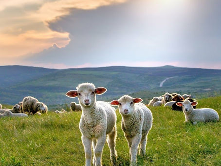 イザヤ書32章14-15節