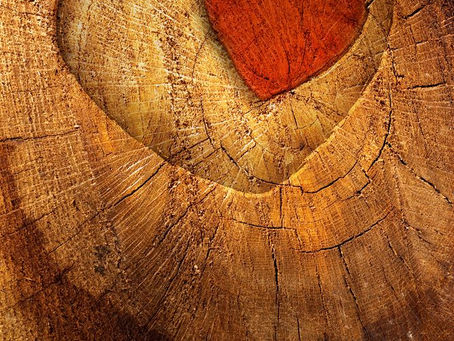 ローマ人への手紙6章8節