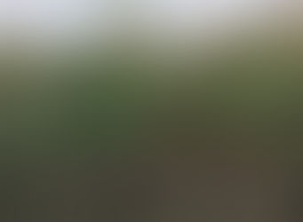 ペテロの第一の手紙4章8-9節
