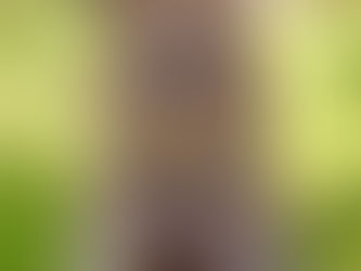 箴言15章15節をいただいて