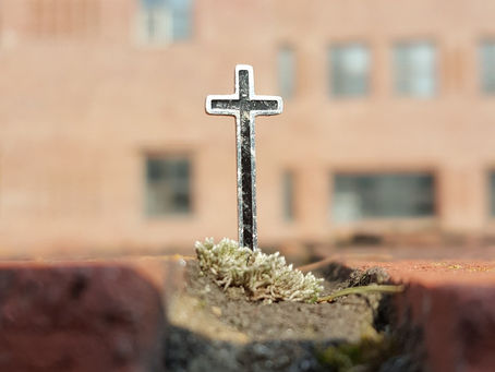 ローマ人への手紙3章10-18節