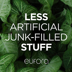 LESS-JUNK (1).jpg
