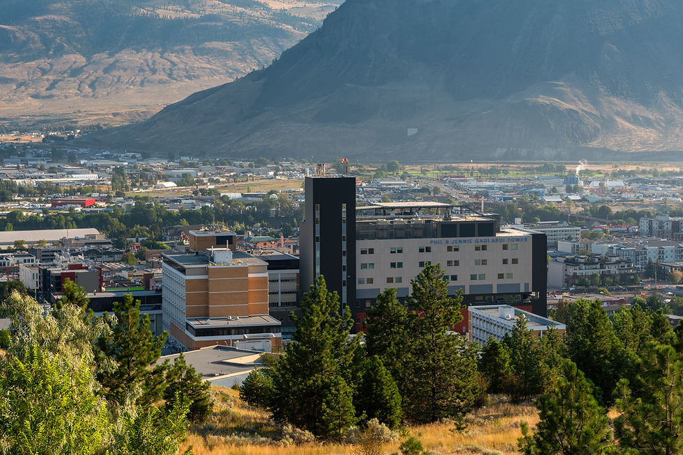 Copy of Back Side Phil and Jennie Gaglardi Tower from Mountain.jpg