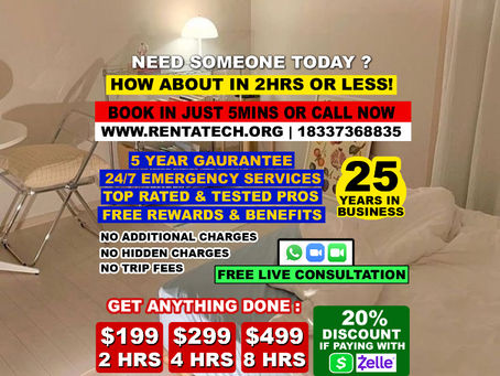 Effective Strategies for Pest Control in Your Home: Handyman's Solutions