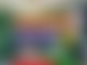 Orlando's Handyman Haven: Earth Care's Reliable and Best-in-Class Solutions!