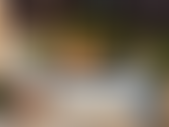 By spa number four, we were relaxed.By spa number eight, we were glowing. By spa thirteen… we had fully entered our mineral-water era.