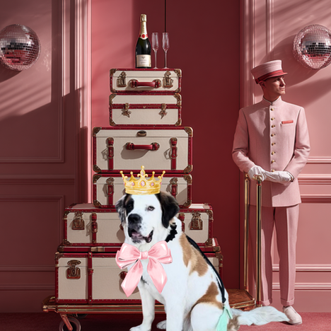 Look, your dog has been with you through everything: breakups, situationships, and your third rewatch of Love Island. So, when it comes to planning a Palm Springs girls' trip or bachelorette weekend, leaving them behind just isn’t the vibe.