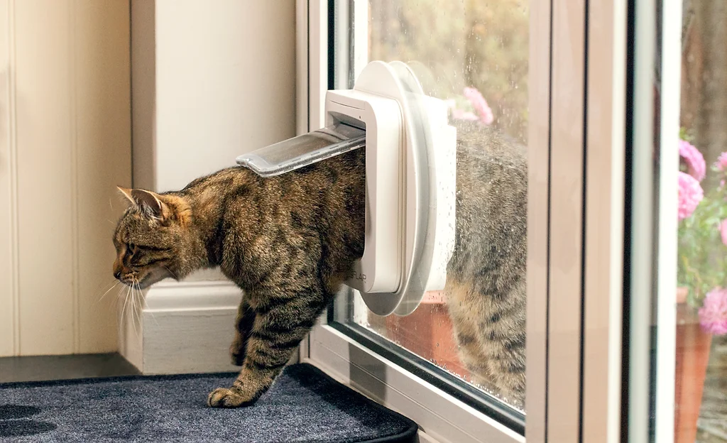 Window cat cheap flap uk