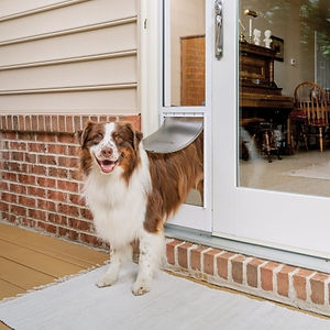 Cat Flap London Pet Door Installation London
