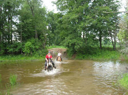 Trail riding