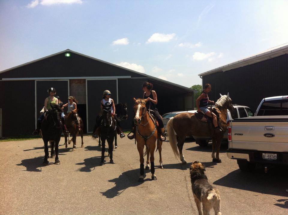 11393206_692856927487358_6936850585155652386_n